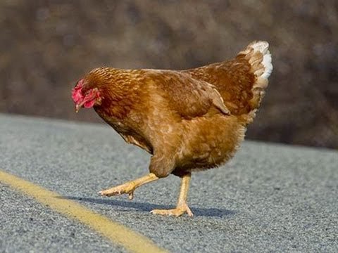 Spain - chicken road online